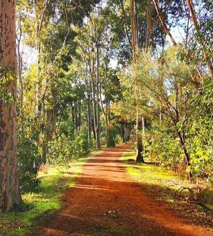 Mahogany Inn And Distillery Mahogany Creek Ngoại thất bức ảnh